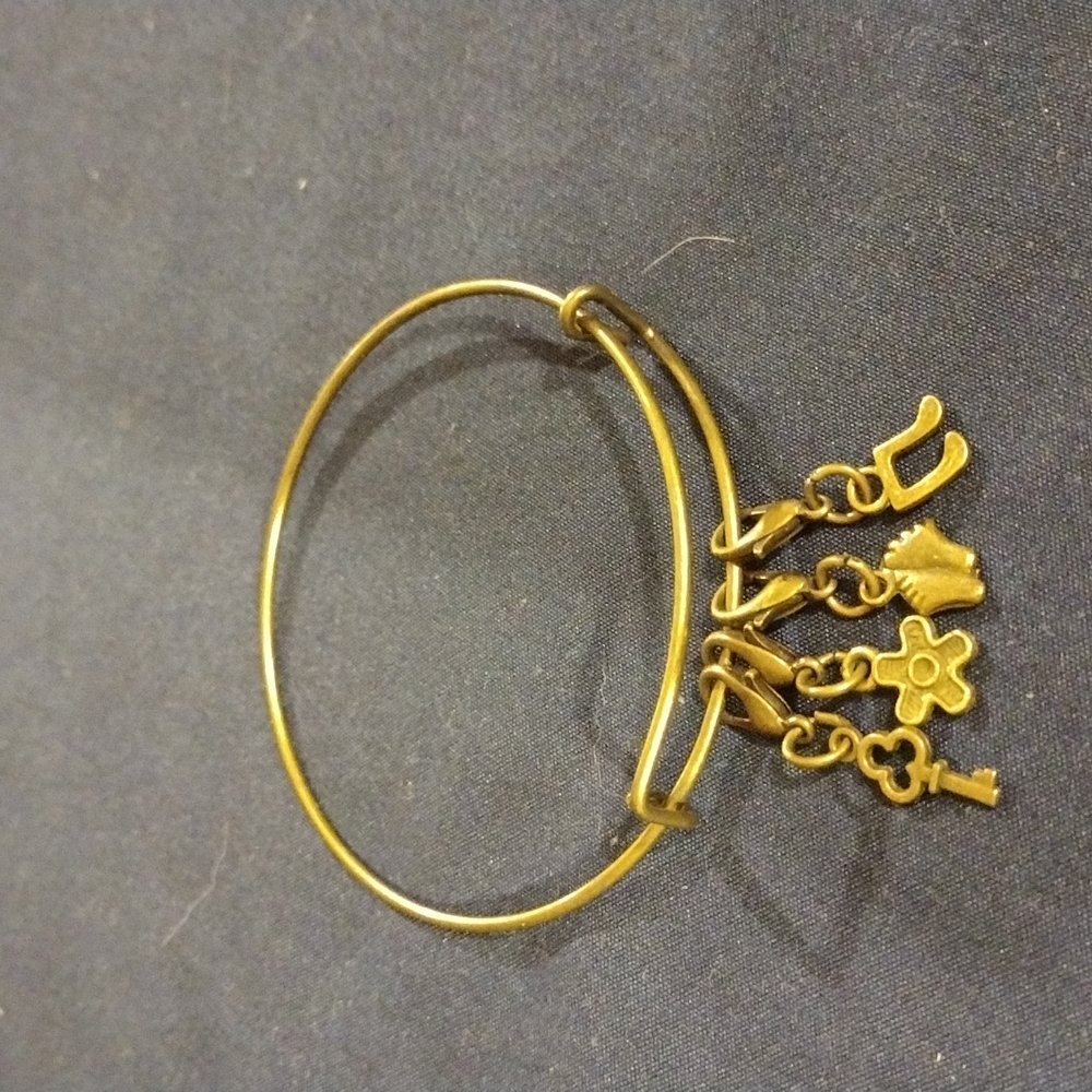 Bronze Charm Bracelet